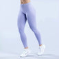 Seamless V-Waist Sculpting Yoga Leggings
