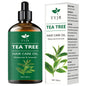 Tea Tree Essential Oil for Hair, Skin & Body Care